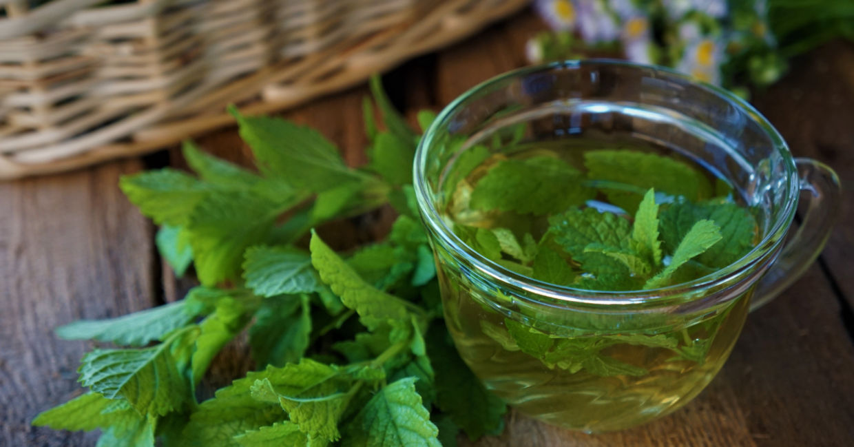Lemon balm tea promotes calm.