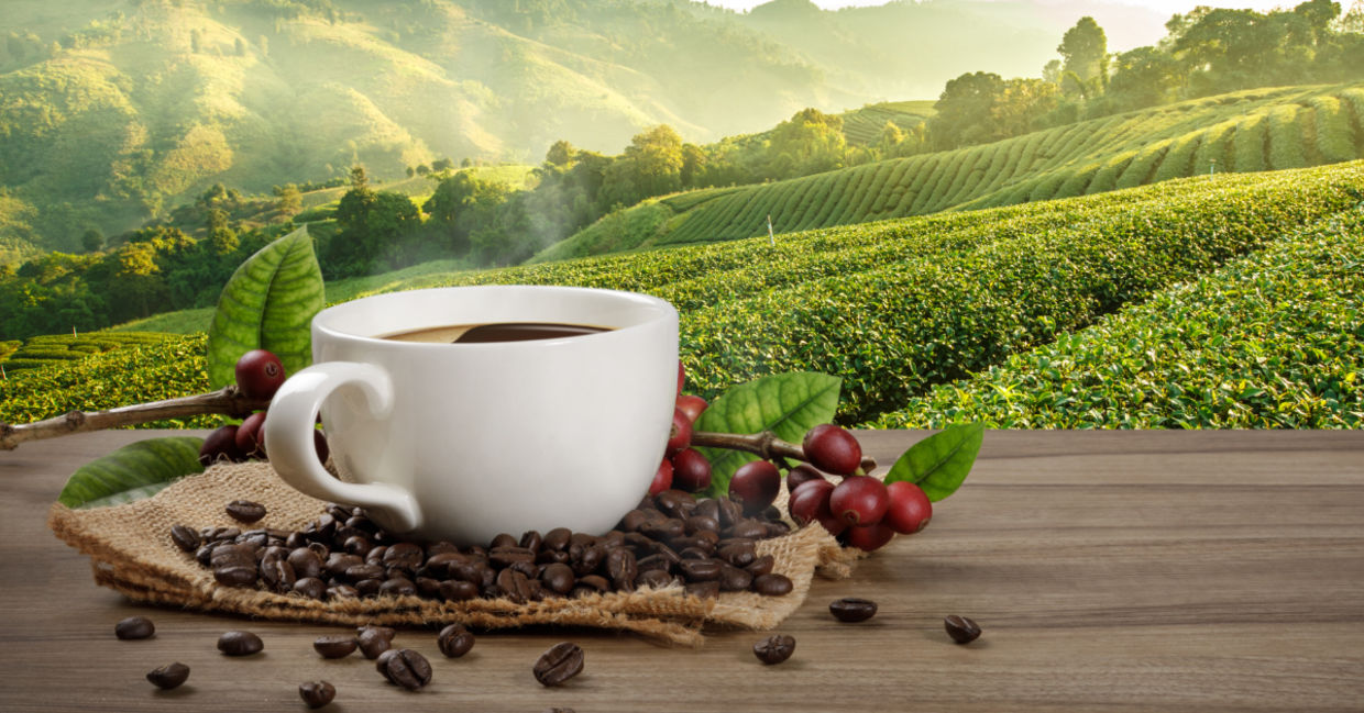 The best coffee is freshly ground dark-roast.