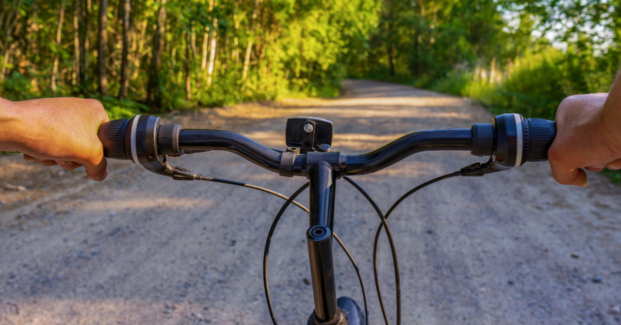 Cycling in the forest.
