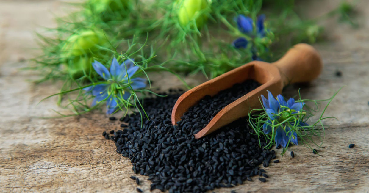 Black cumin seeds and flowers.