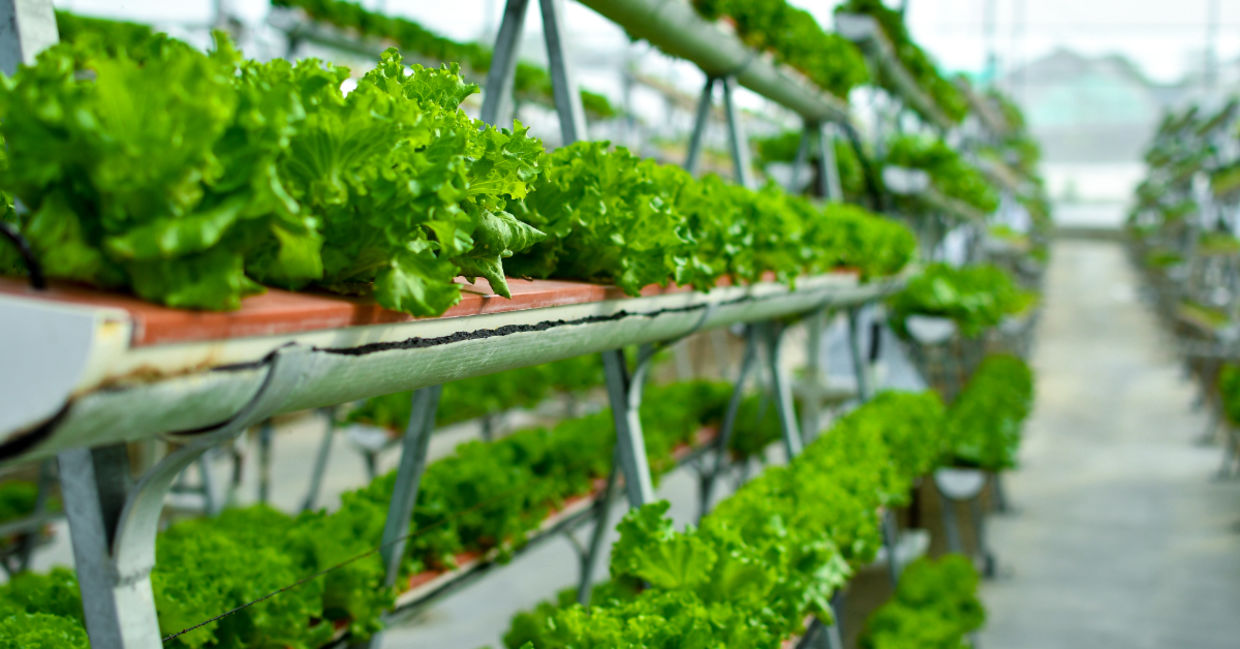 Vertical farming systems.