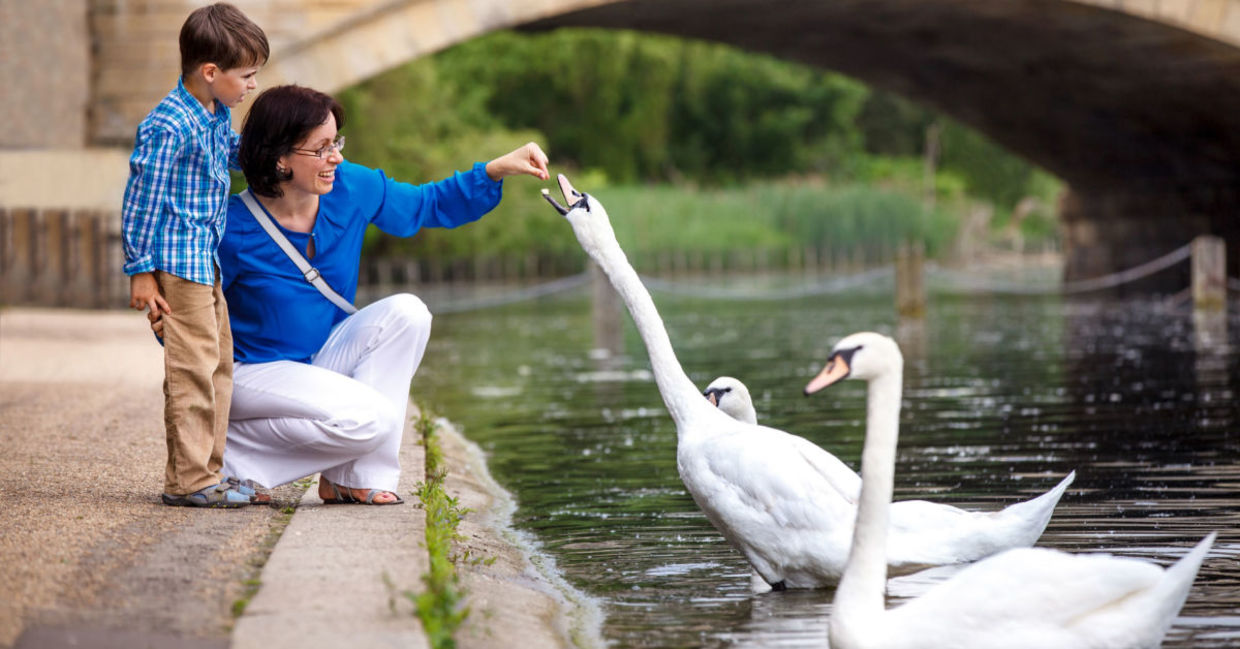Spending time in nature is good for mental health.