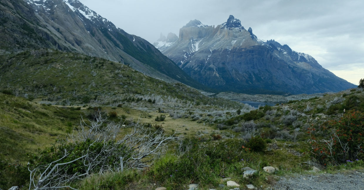 Patagonia.