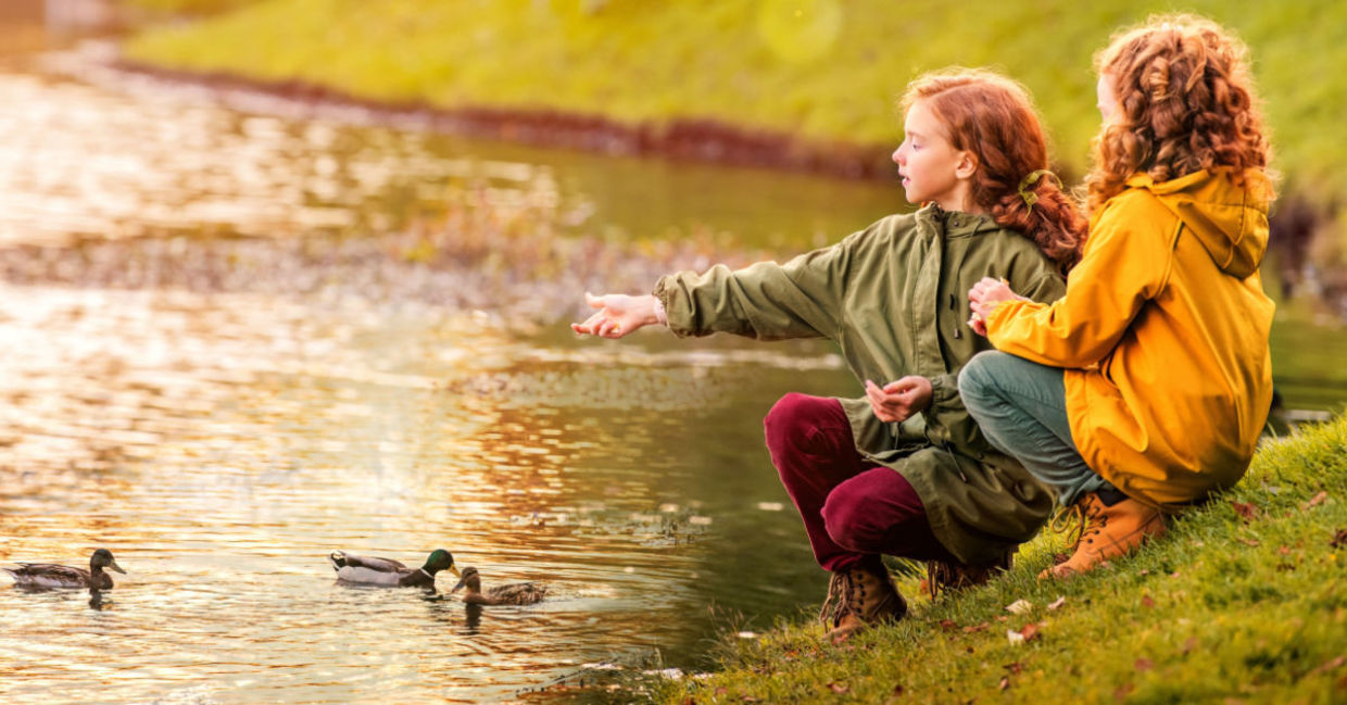 Two young girls feed ducks at a pond.