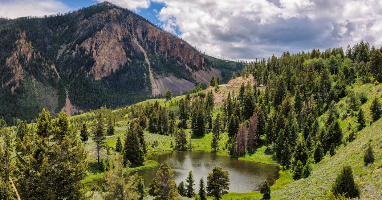 Yellowstone National Park.