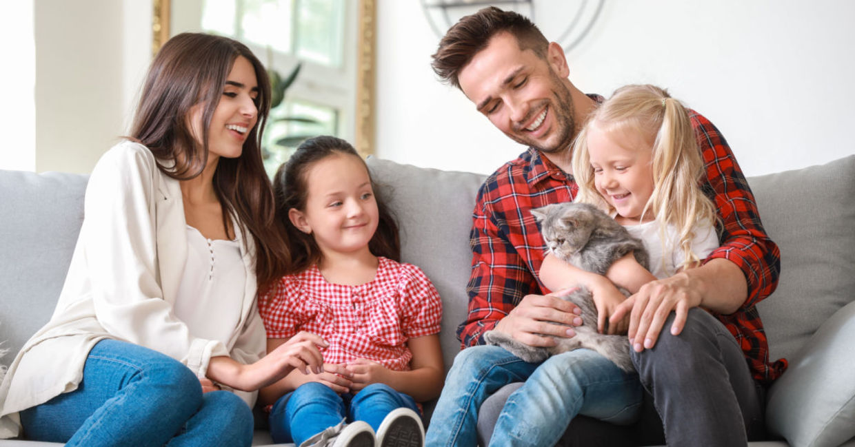 Family watching cat movies together.