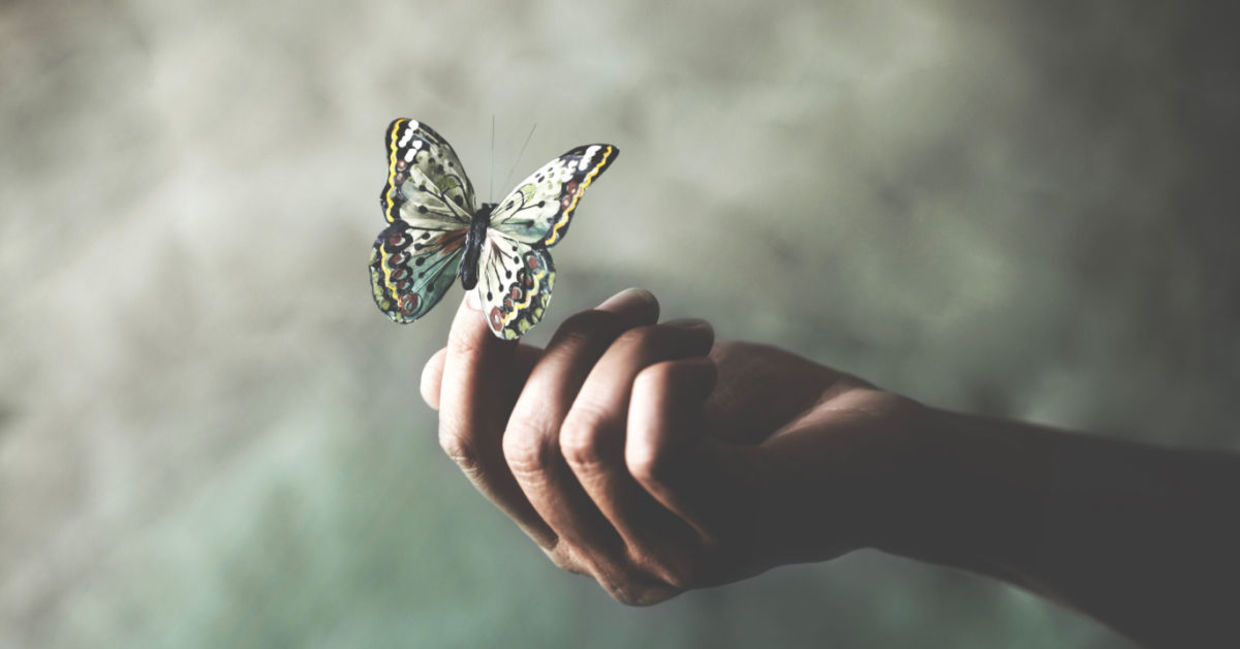 Butterflies symbolize joy and happiness.