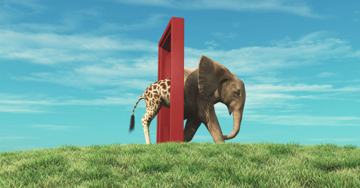 Changes in life are not always easy.