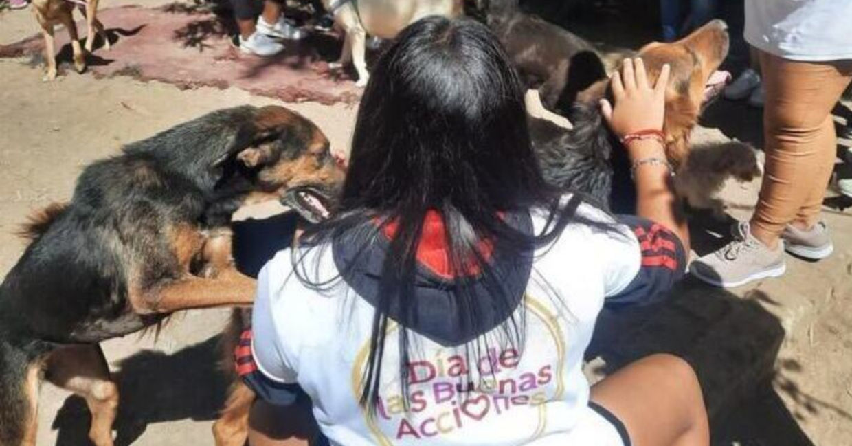 Taking care od dogs on Good Deeds Day.