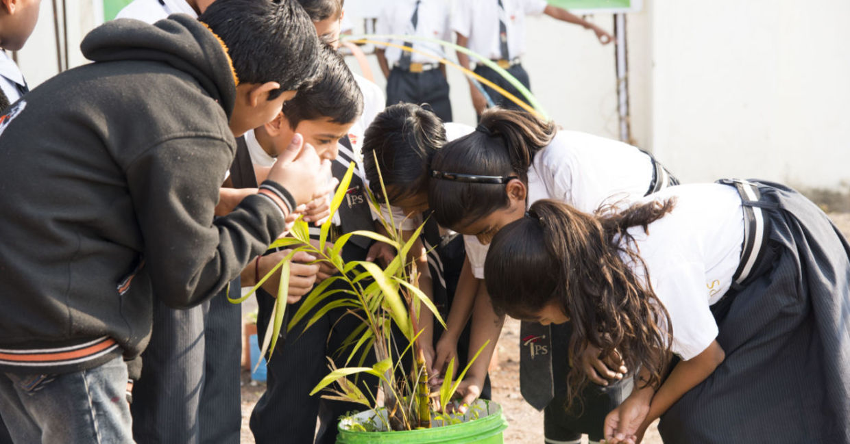 Children learning about nature.