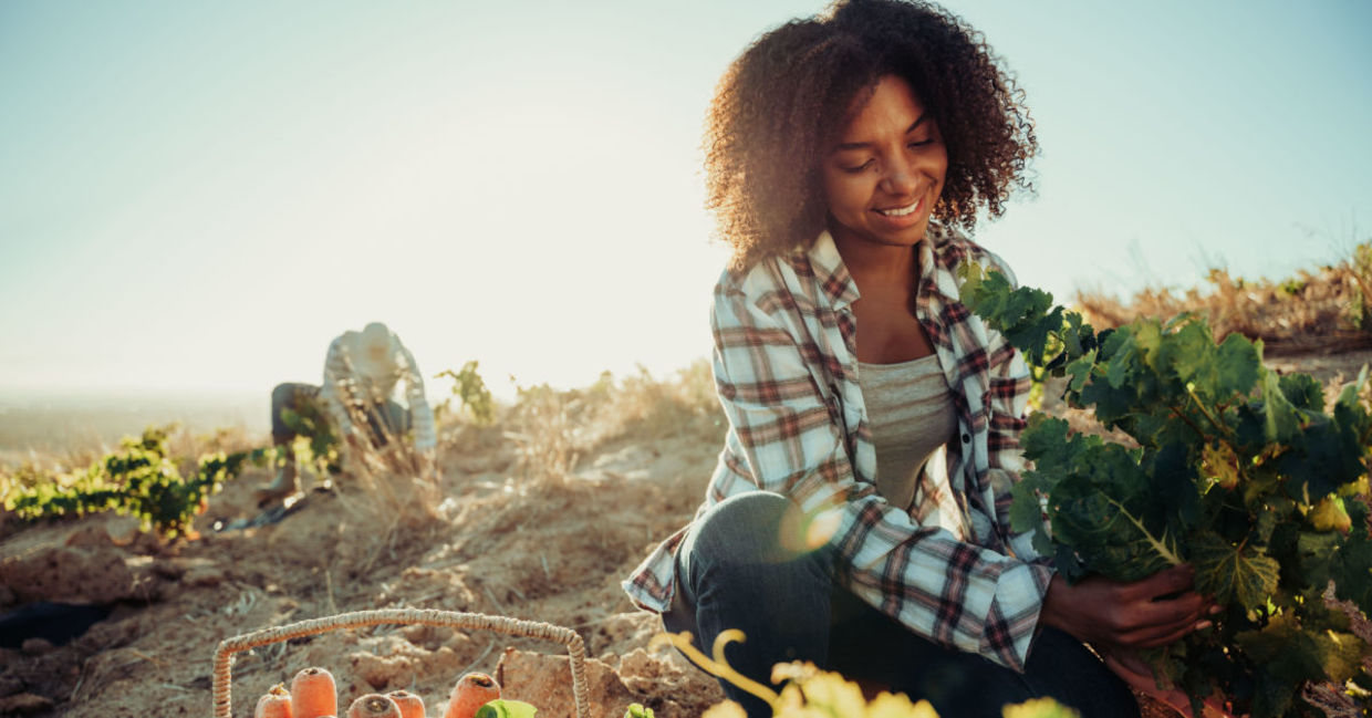 Donate your time to a community garden.