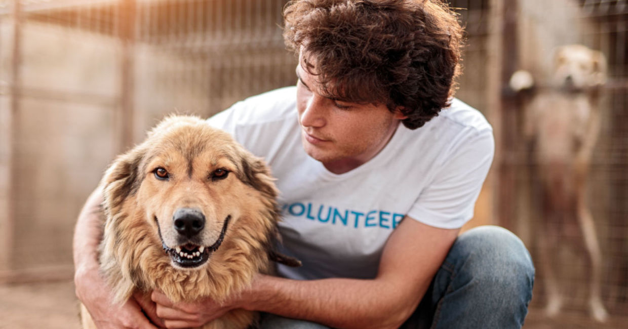 Animal shelter volunteer.