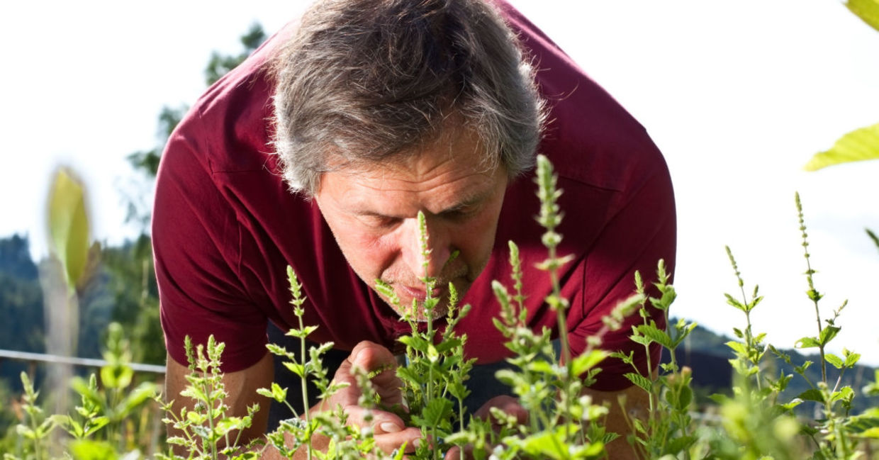 sniffing peppermint can help you stay alert.