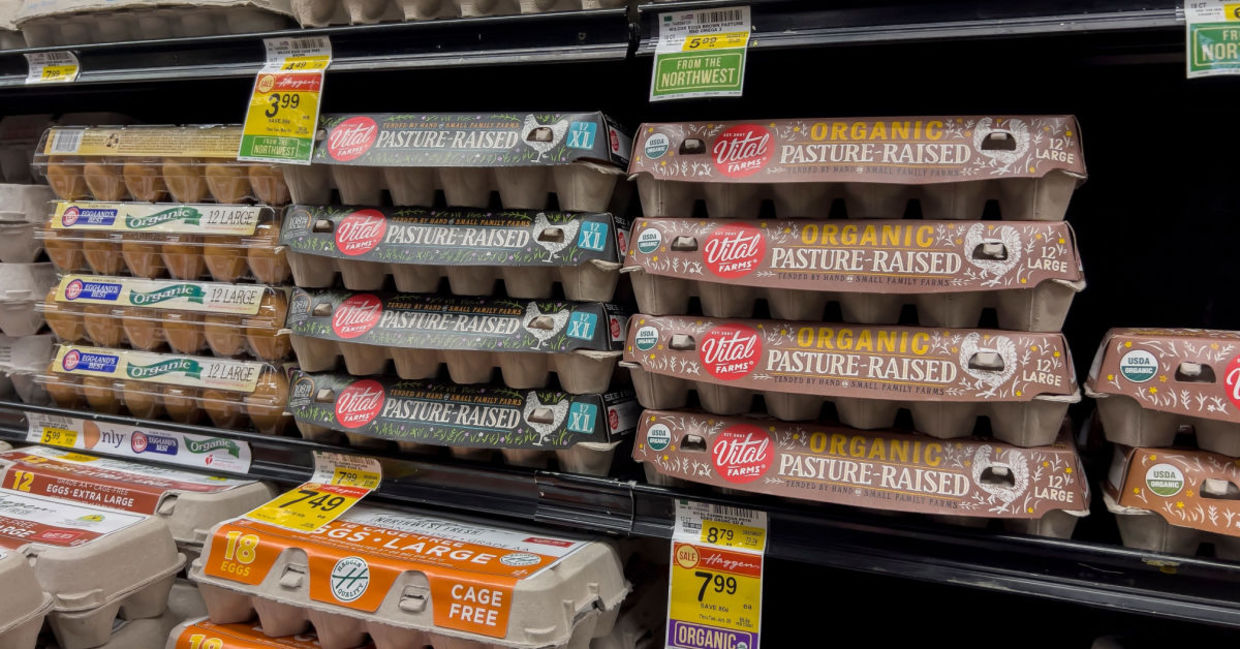 Eggs in the supermarket.