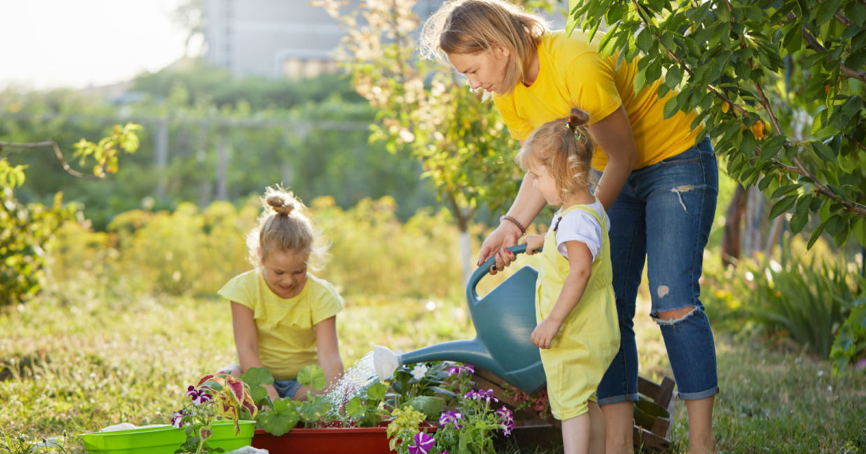 Tending a chaos garden.