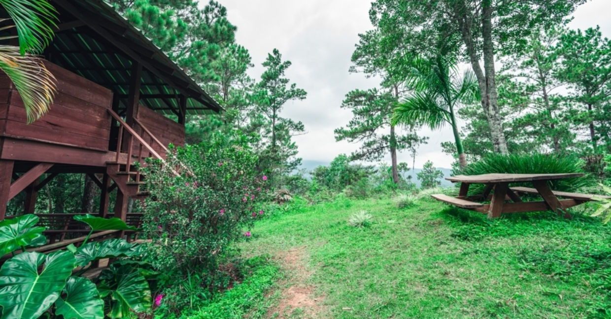 Campgrounds in Voyageurs National Park.