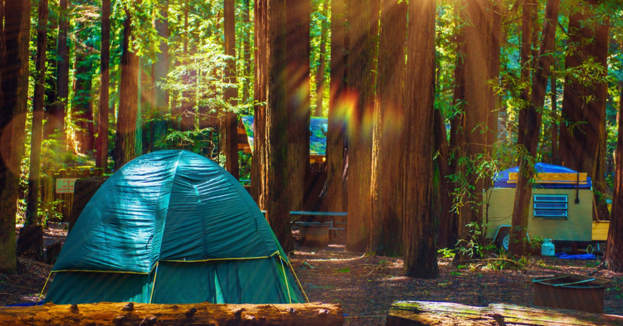 Tent camping at Redwood National Park.