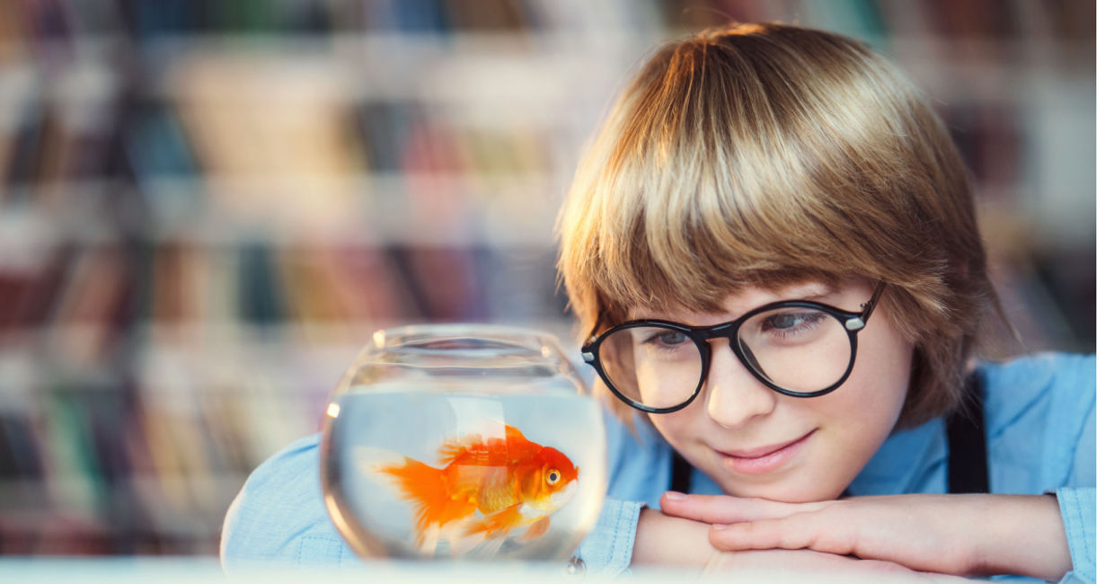 Boy enjoying his goldfish.