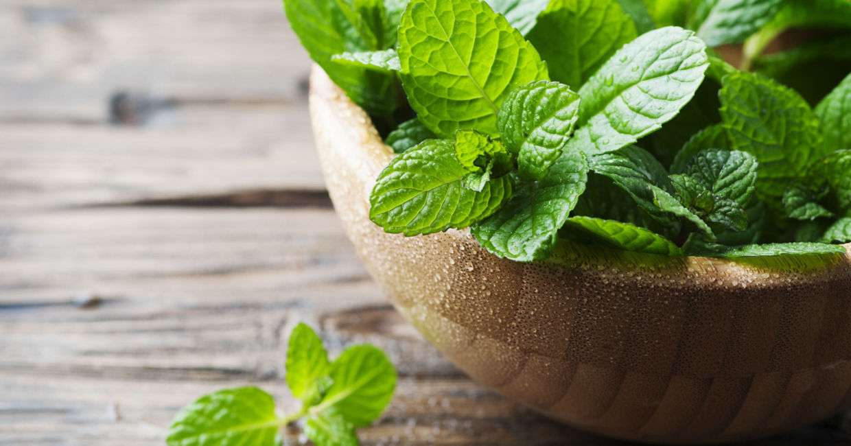 Use fresh mint for tea.