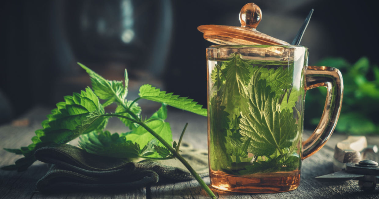 Nettle is a cooling herb.