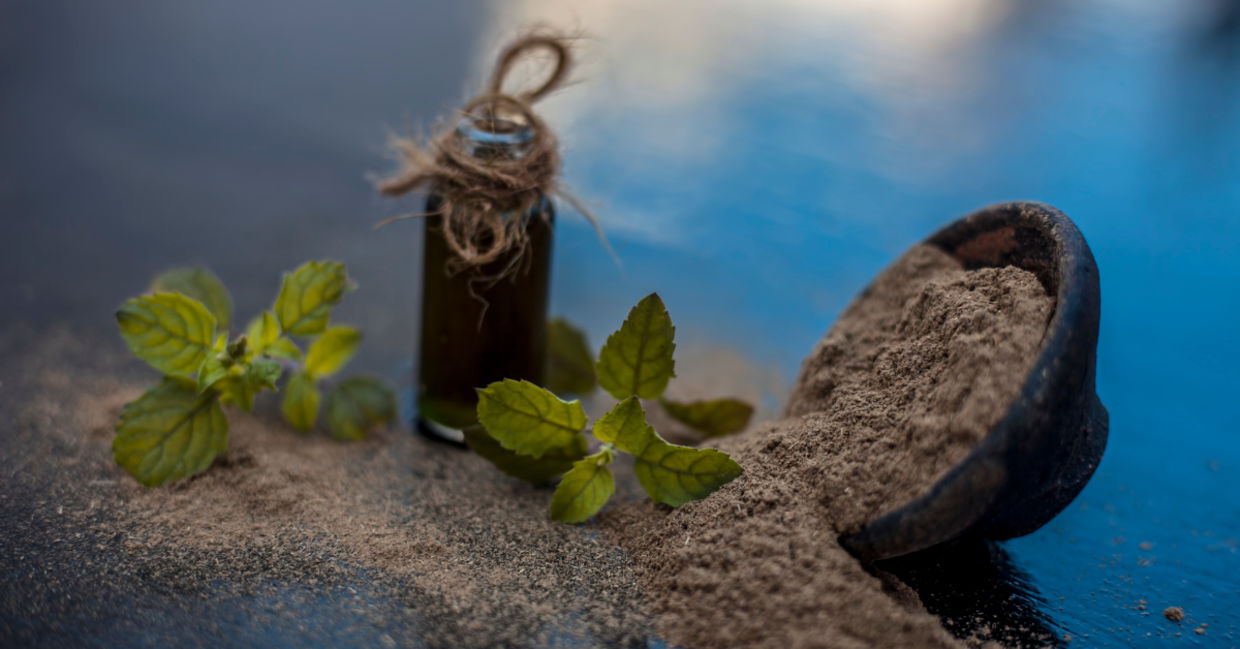 Bacopa is grown in India and used for healing.