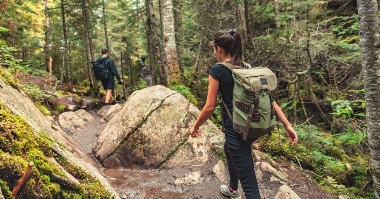 Hiking on a forest trail.