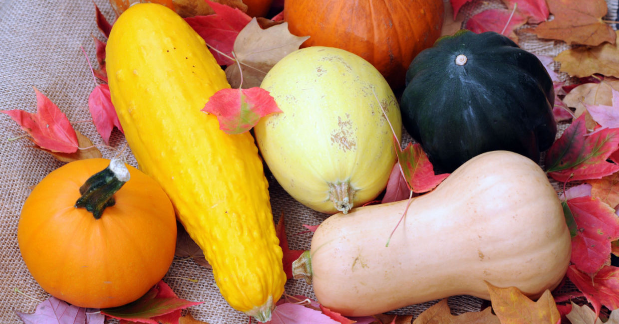 Several varieties of winter squash.