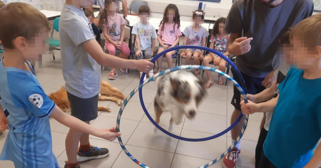 Pictured, Gal Mizrachi, Canine-Assisted Specialist and his partner, Elliot the therapy dog