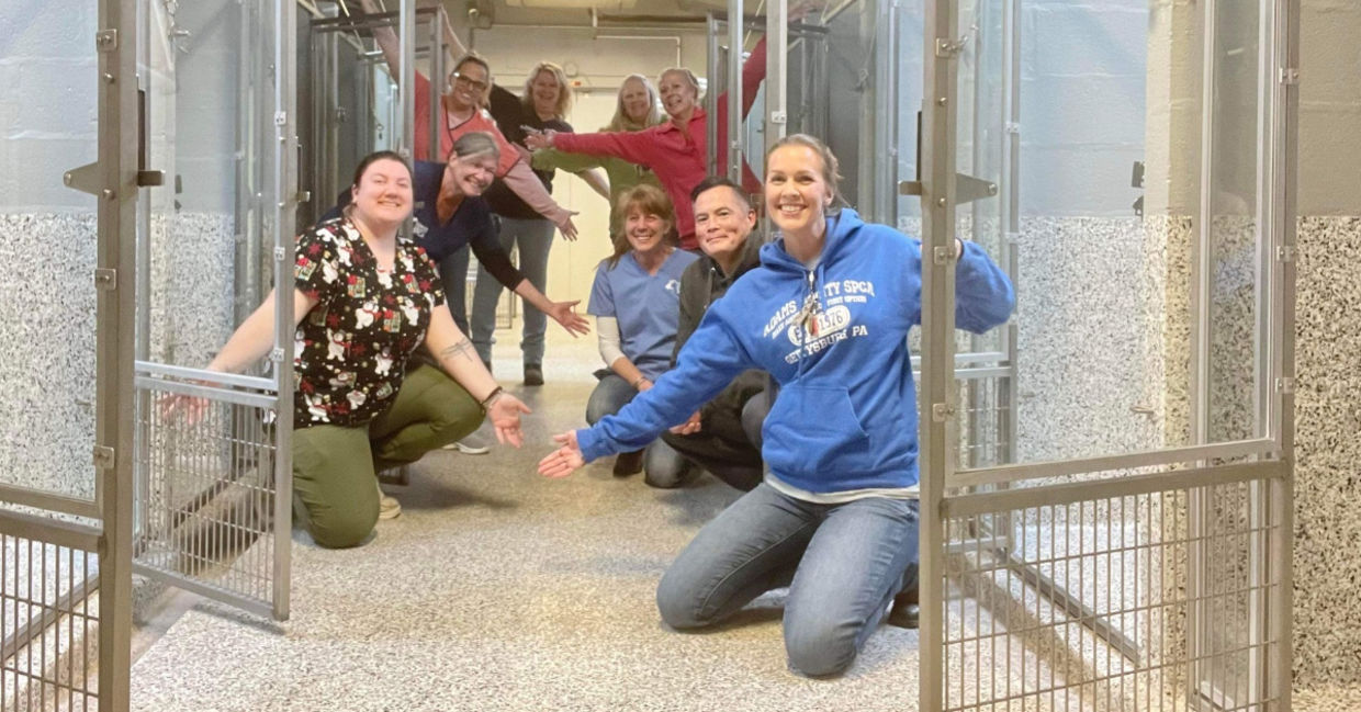 Empty kennels at the shelter.