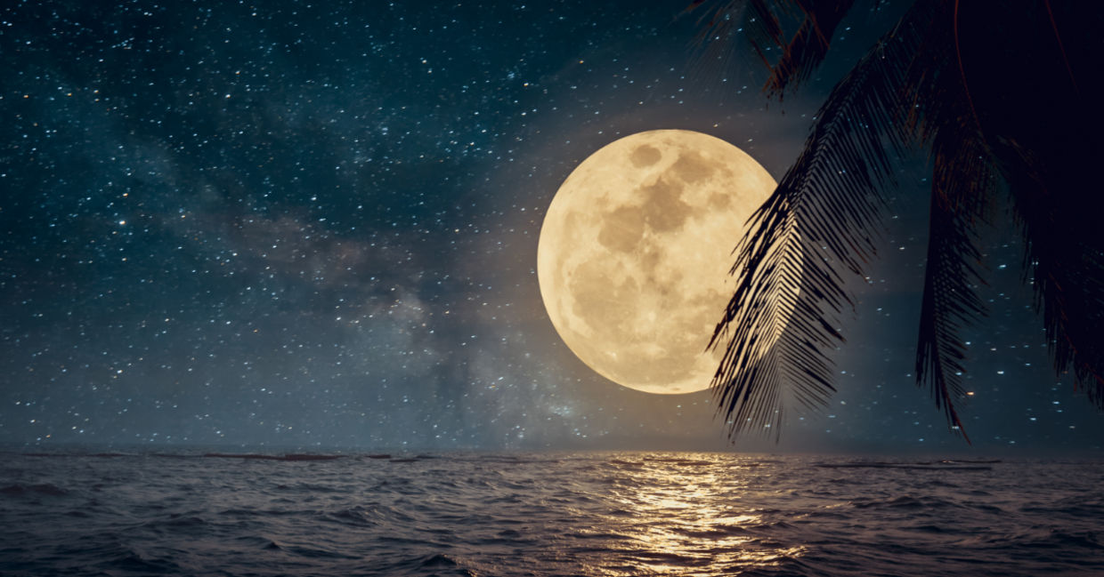 Full moon on a tropical beach.
