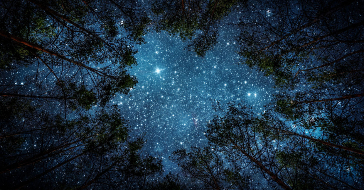 View of the milky way in the night sky.