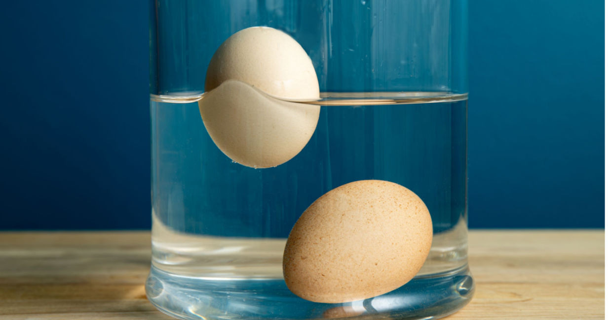 Testing eggs for freshness.
