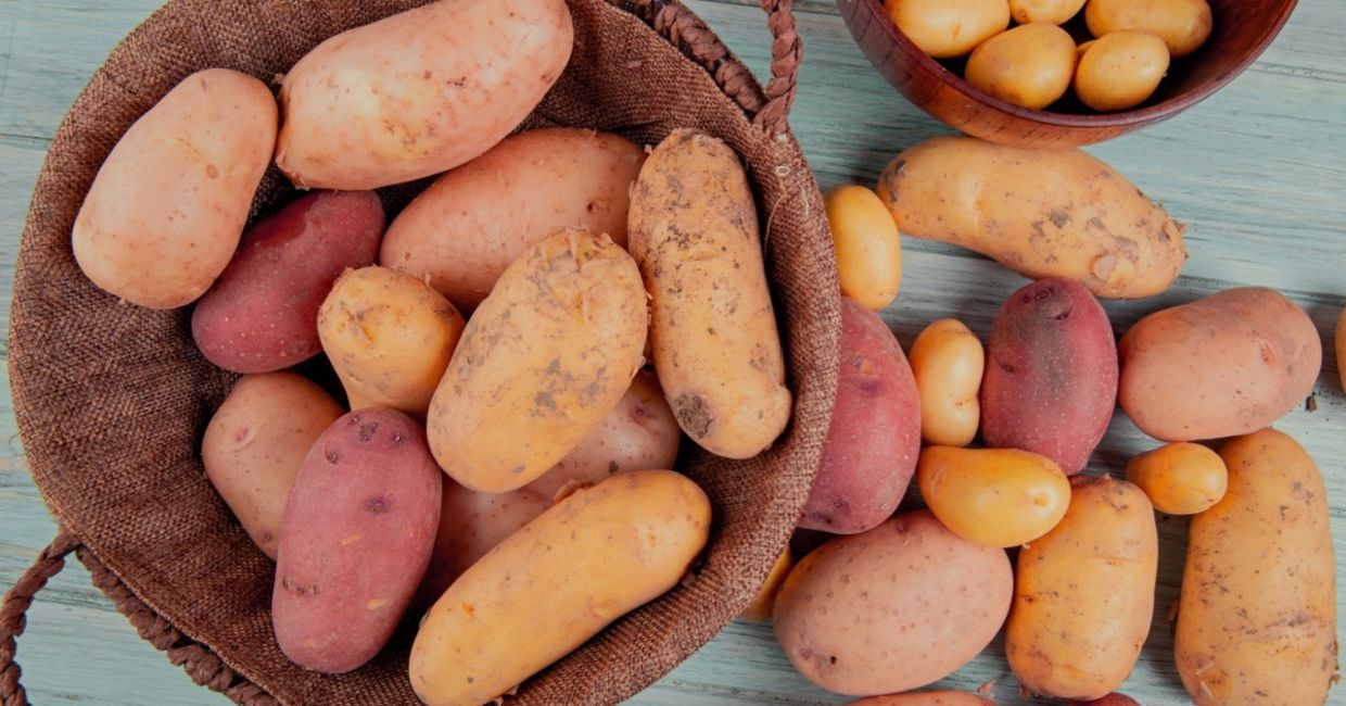 Different types of potatoes..