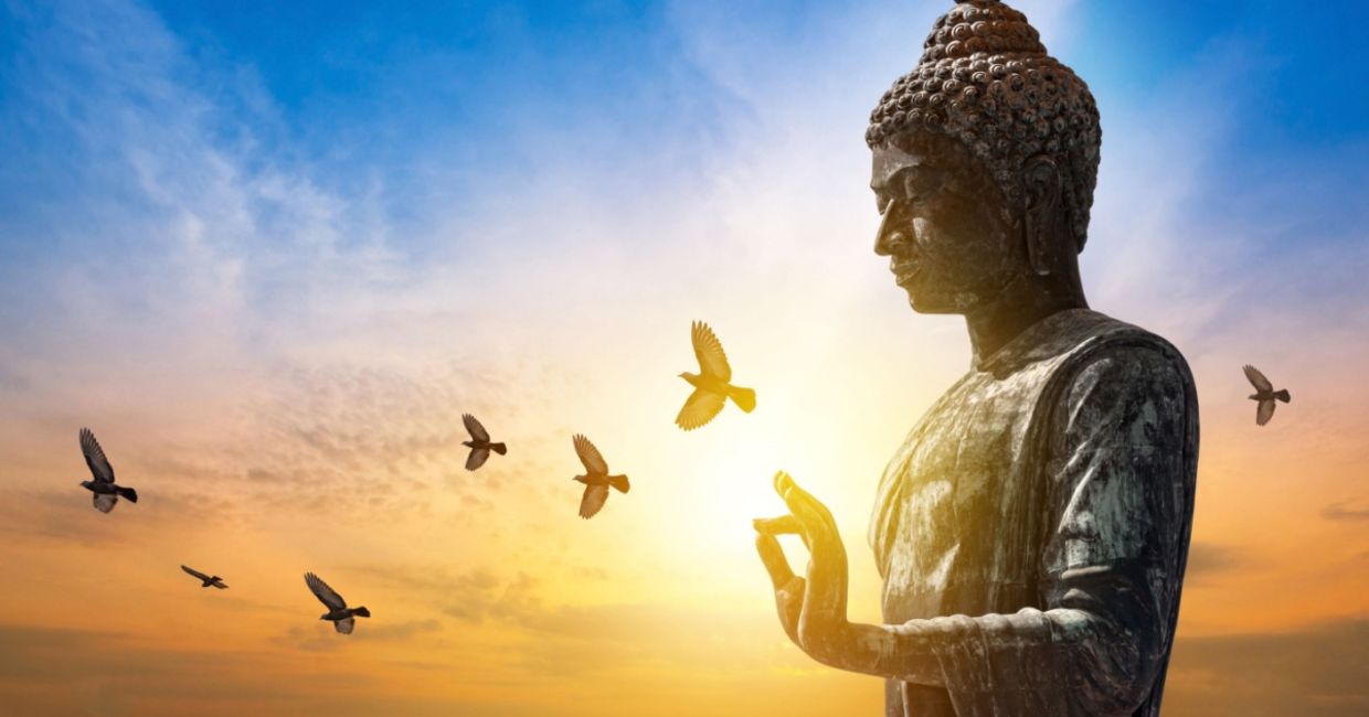 The wisdom of Buddhism can guide you.