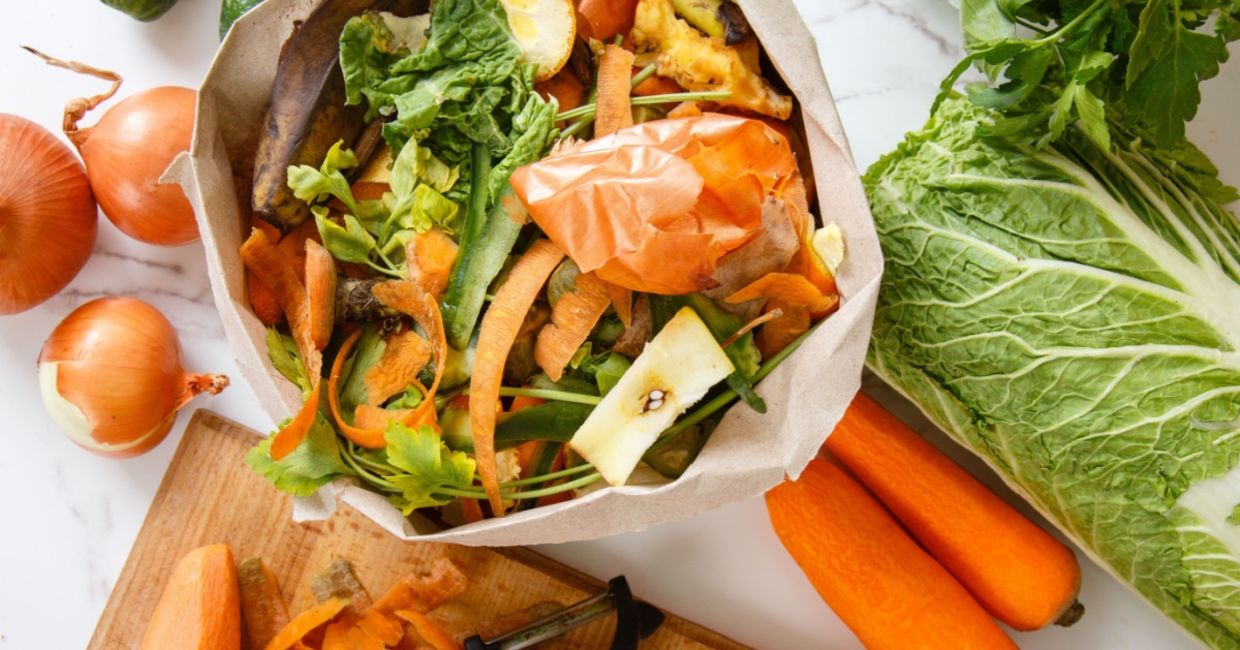 Food scraps that can be used to help plants.