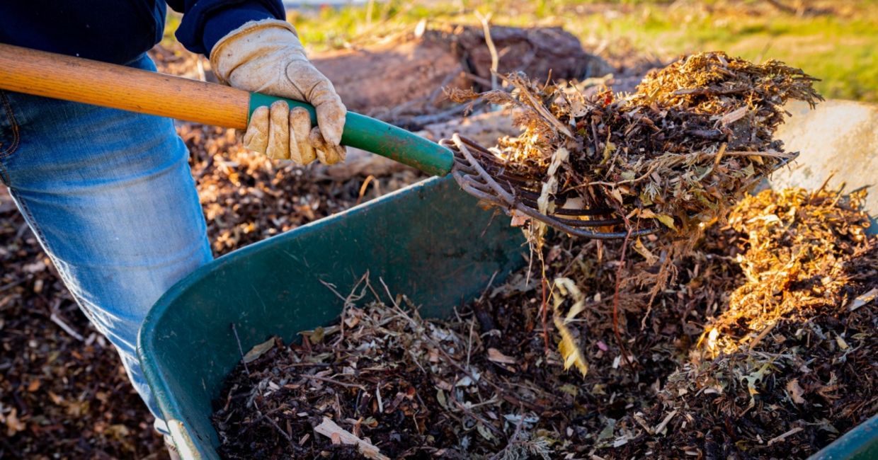 Adding mulch to a raised bed for planting.