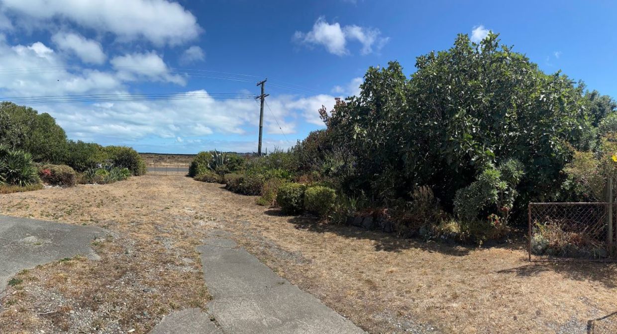 Leisa Elliot's winning ugly yard.