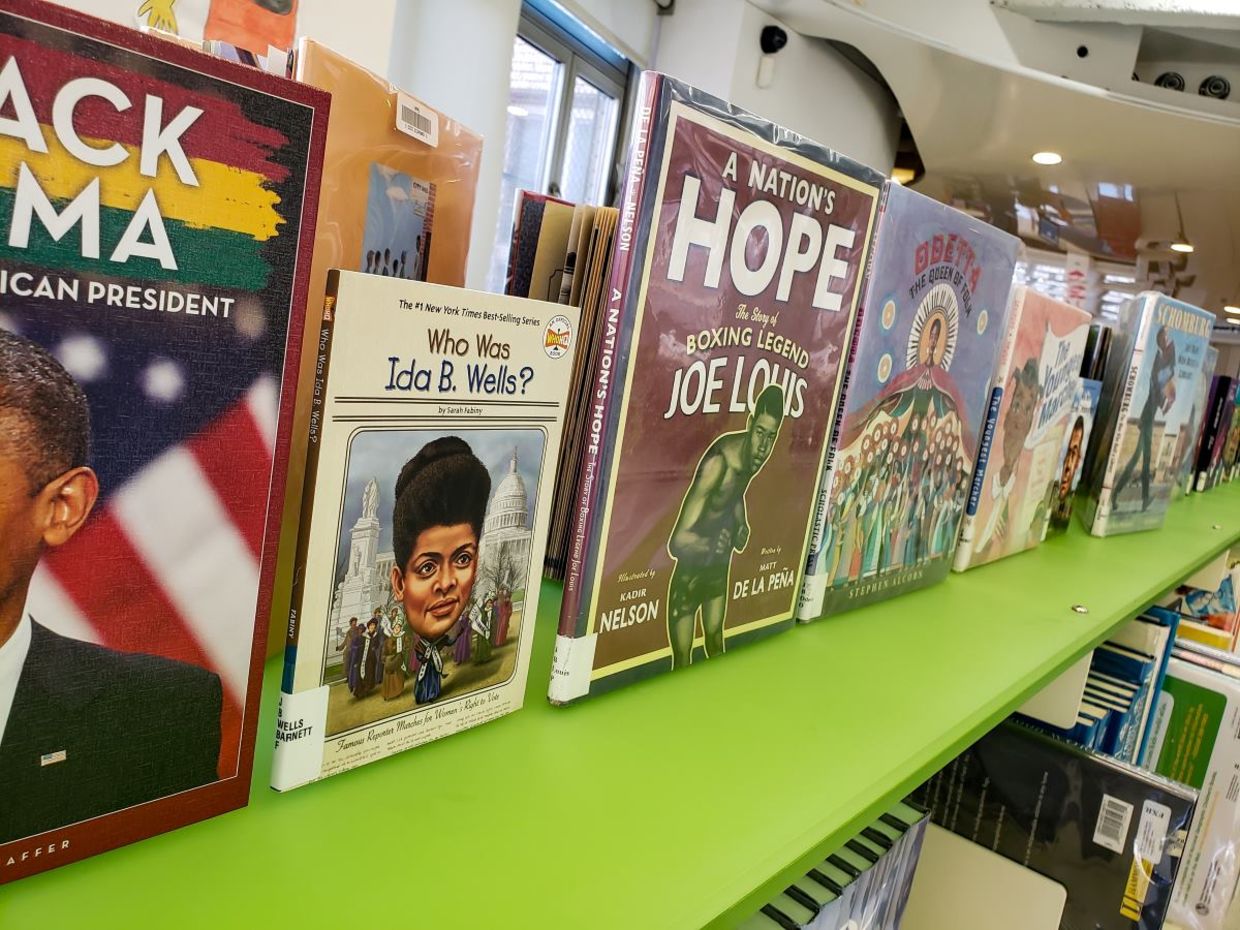 Books for Black History Month and anytime.