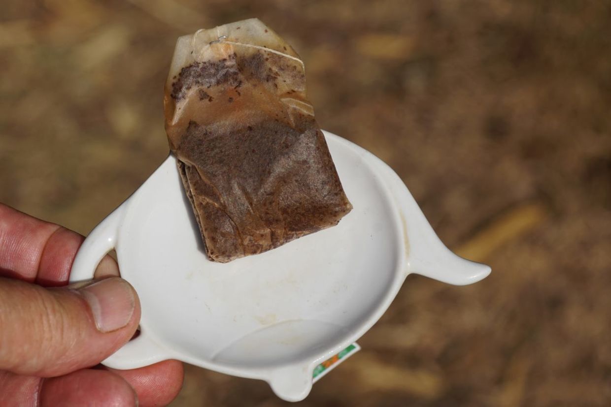 Reuse your tea bag.