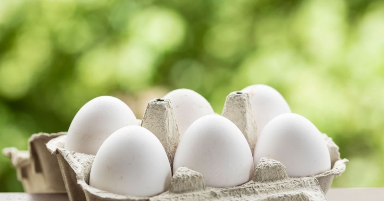 Egg substitutes are gaining in popularity.