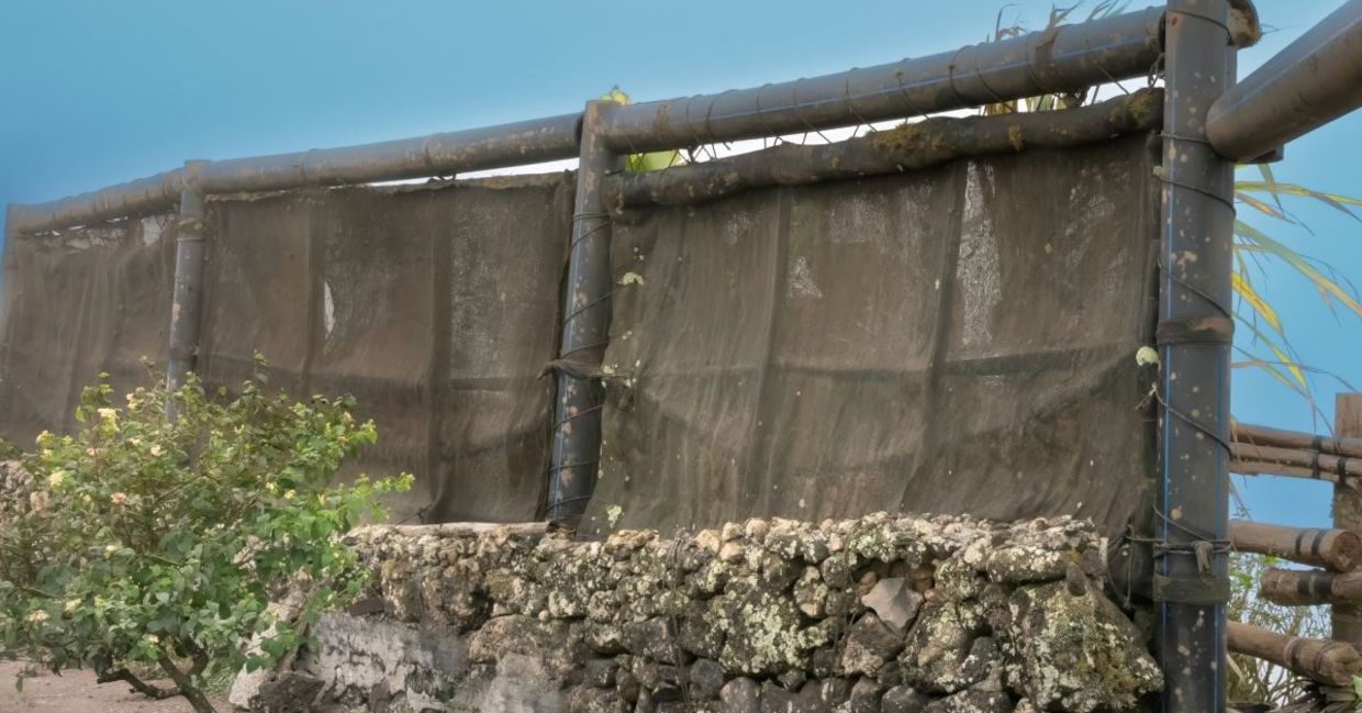 Fog catcher in the desert mountains of São Vicente Island.