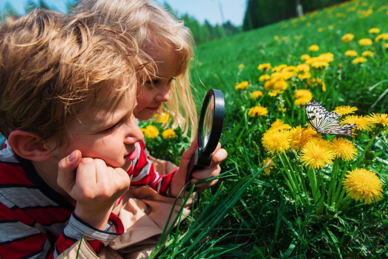 Children exploring nature.
