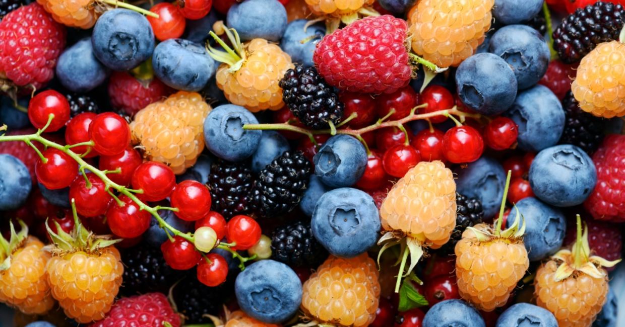 Mixed berries are healthy and sweet.