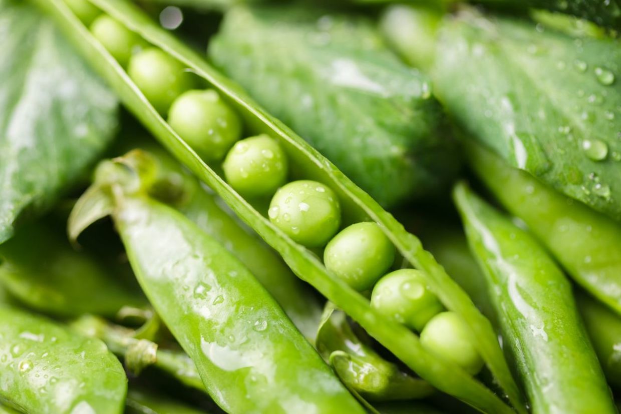 Green peas are good for your health.