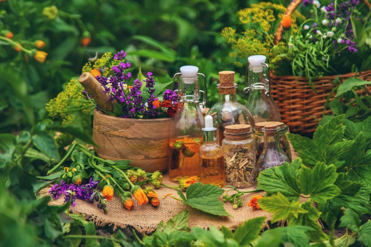 Healing herbs are part of Ayurveda practices.