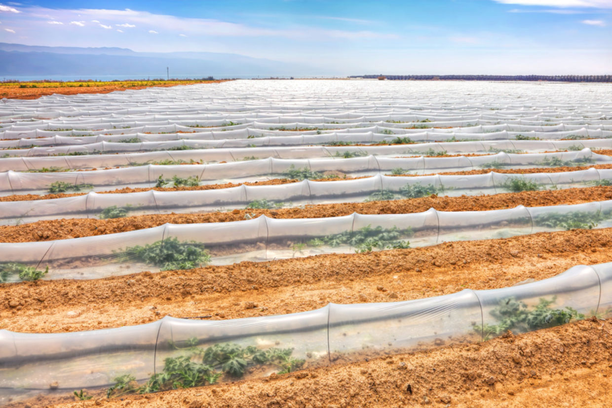 Israel has used a wide variety of innovative methods to conserve water.