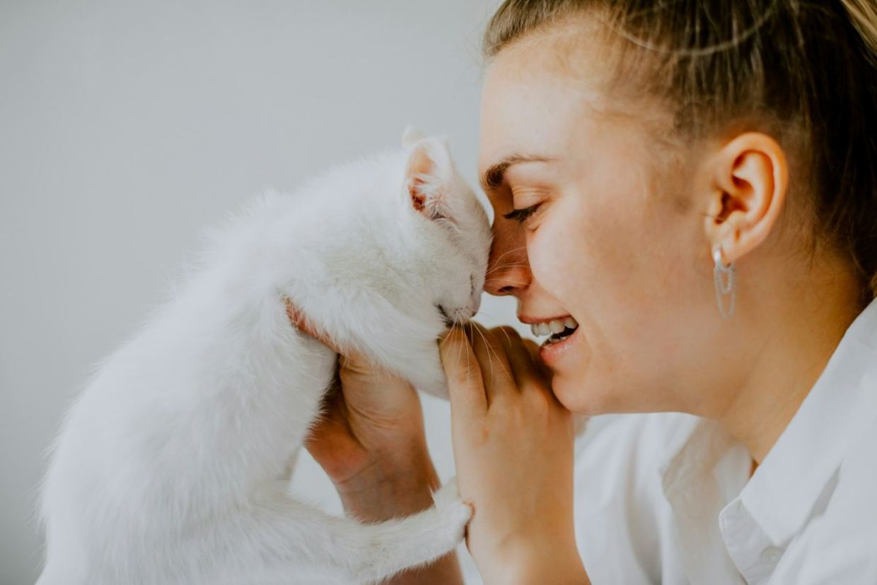 A woman holds a kitten.