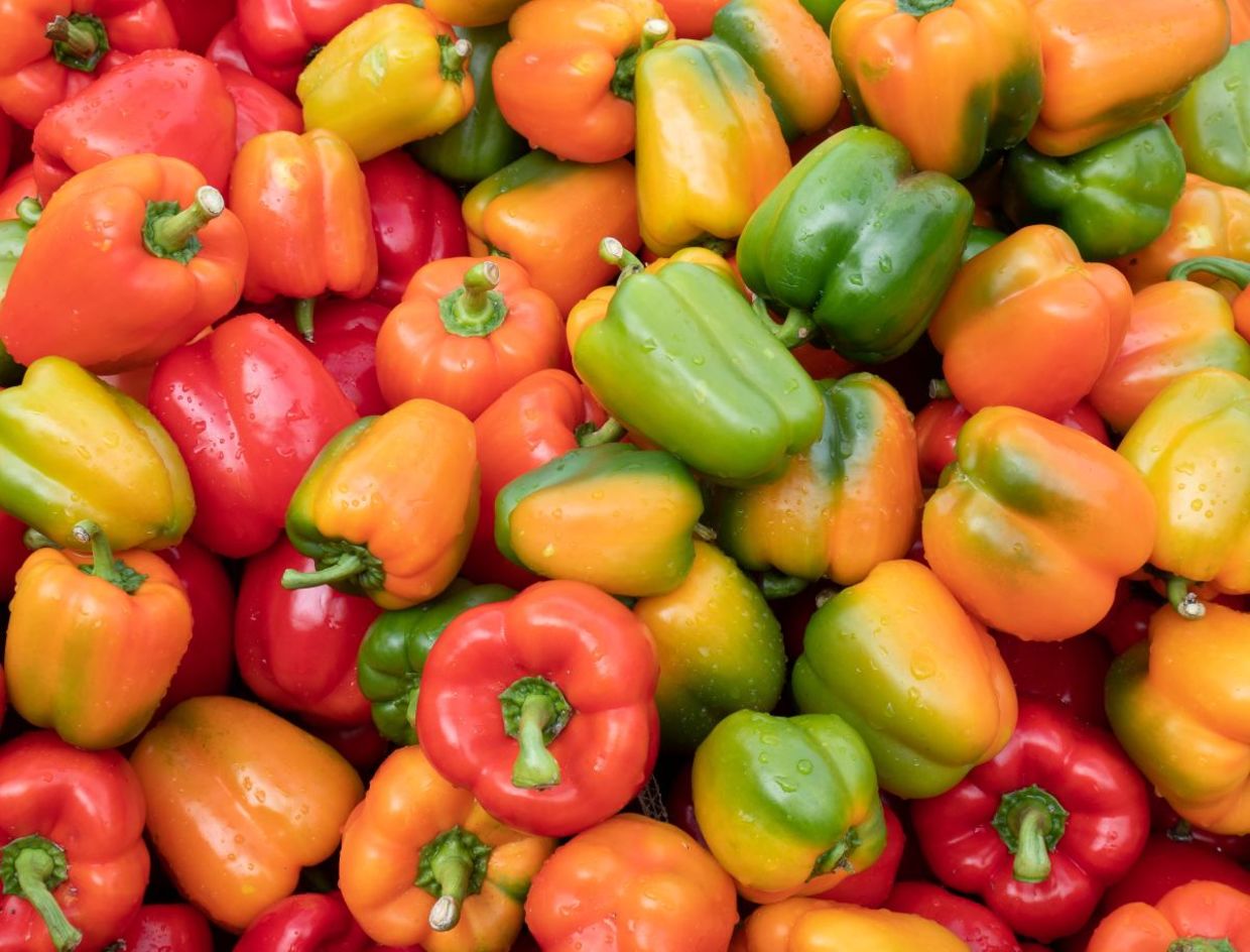 Bell peppers come in an assortment of colors.