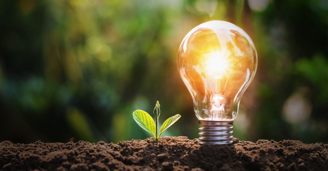 Electricity from soil.