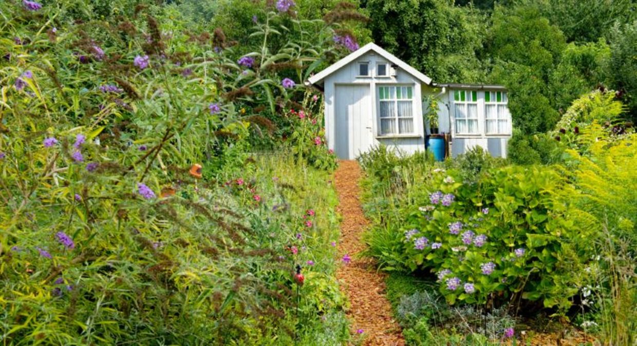 A tiny cottage in an idyllic Koloniträdgårdar garden.